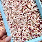 4mm Sieve - Sprinkle Nest