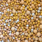 Nude Chocoballs