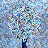 Pastel Luxe Non Pareils